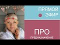 А туда ли я иду? Где ты моё предназначение?