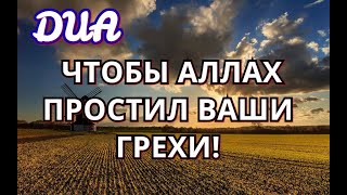 АЛЛАХ ПРОСТИТ ВАМ ВАШИ ГРЕХИ! ИН ША АЛЛАХ! ДУА ДЛЯ ПРОЩЕНИЯ ГРЕХОВ! ИН ША АЛЛАХ!