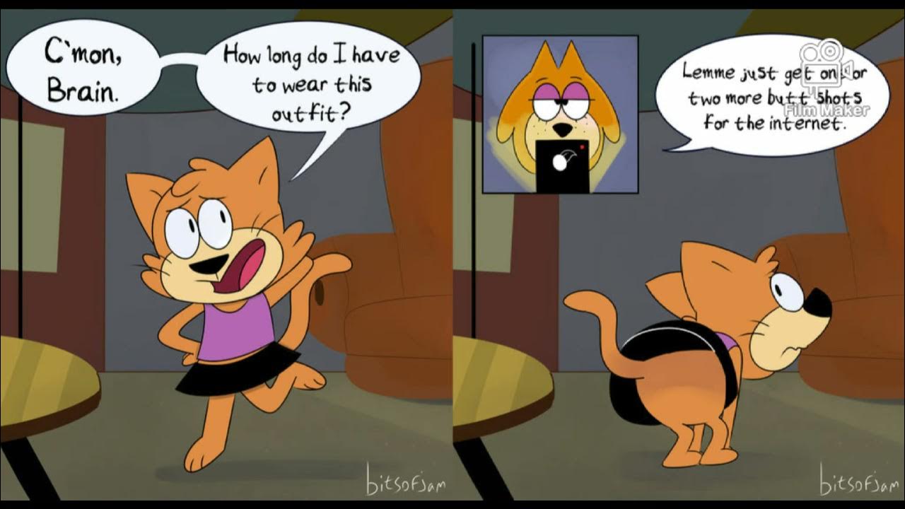 Jellystone Fancy Fancy Wearing Brain (Girl)'s Closets YouTube