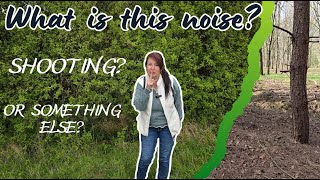 What was this noise? Wild Forest Adventure