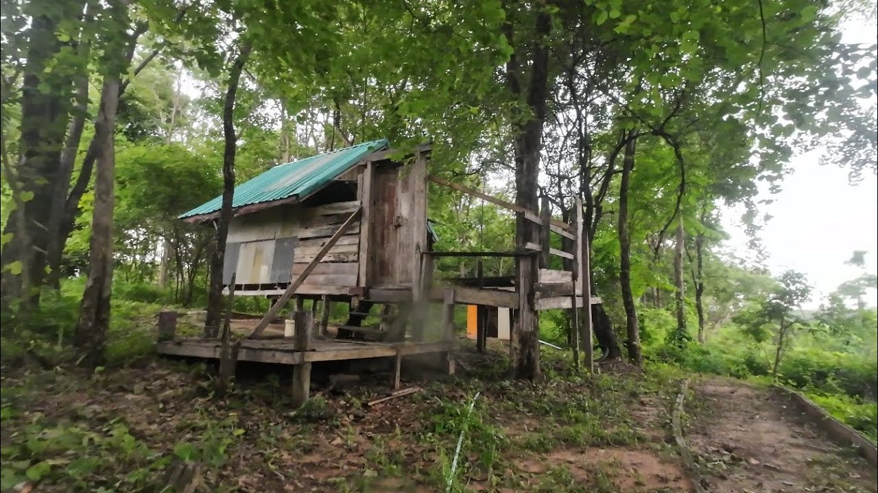 ที่นี่ต้องการพระปฏิบัติดีเท่านั้น​ ที่​ อ.เขาสวนกวาง​ จ.ขอนแก่น