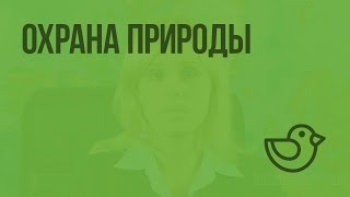 Охрана природы. Видеоурок по окружающему миру 4  класс