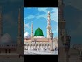 Ye Rab E Mustafa Tu Mujhe Hajj Pe Bula)Naat Shareef #beautiful #shortvideo #shortsfeed #trending 🕋🕋🕋