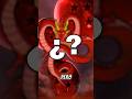 El Dragon nuevo de las Dragon balls Dragon ball daima