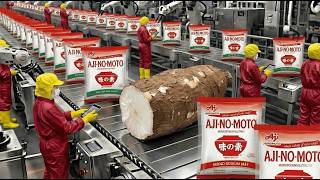 Inside the Giant Ajinomoto Factory: The Technology for Producing MSG from Cassava (Full Process)