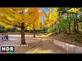 Autumn in Japan - Tokyo Hikarigaoka walk • 4K HDR