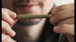 Cannabis Tolerance: What It is and How To Reset It