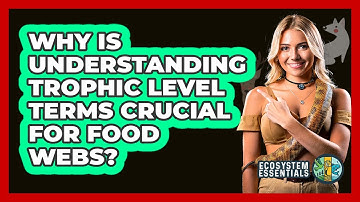 Why Is Understanding Trophic Level Terms Crucial For Food Webs? - Ecosystem Essentials