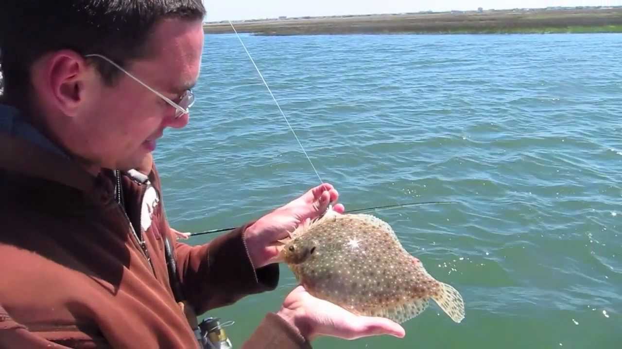 New Jersey Backbay fishing Fluke and Blackfish