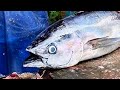 Live streaming!! Step-by-step tuna cutting.