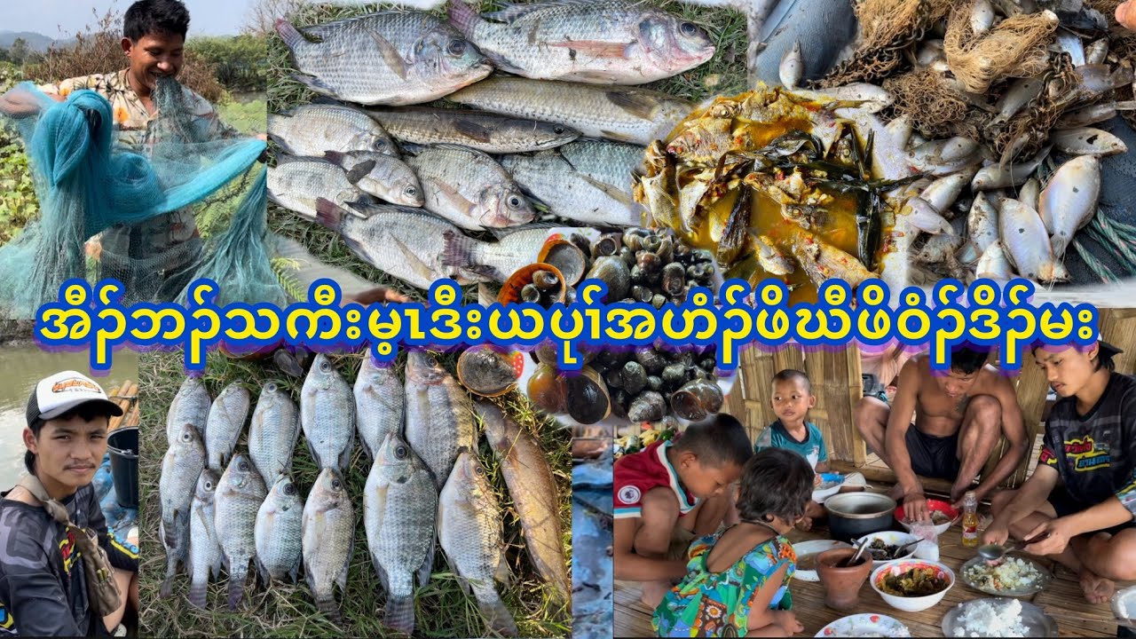 12/2/26လဲၤကွံၥ်အီၣ်ပှၢ်လၢကမါဖးဒိၣ်ပူၤမုၥ်ဒိၣ်မး