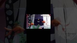 waterbugik It Gonna Flop Hard But Idcaoikoi Daidaiiro No Hi