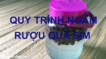Quy Trình Ngâm Rượu Sim,Đúng Chuẩn Thơm Ngon