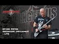 Dying fetus  grotesque impalement live  summer breeze open air 2016