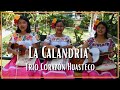Trío Corazón Huasteco - La Calandria