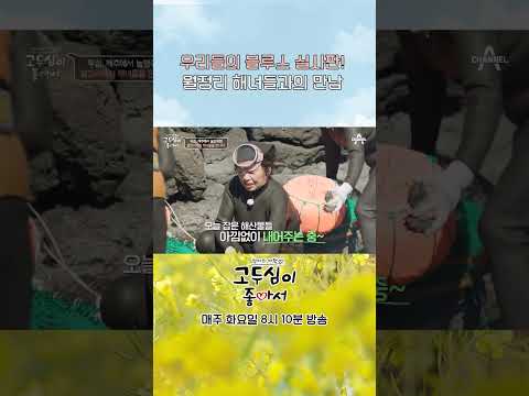 멋진 <strong>월정리</strong> 해녀들 등장이오~🌟 #shorts #고두심이좋아서 #제주