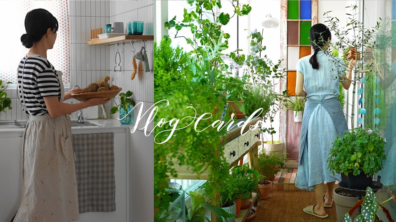 Садоводство – мое самое большое счастье / Пикантная жареная картошка / Интерьер дома