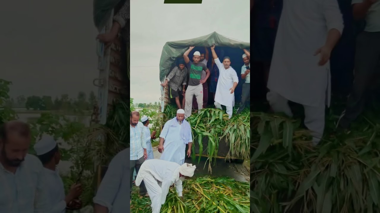 helping hands for punjab 👋🏼🫂 