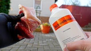 EXPERIMENT  Kann man mit Schwefelsäure Fleisch auflösen??