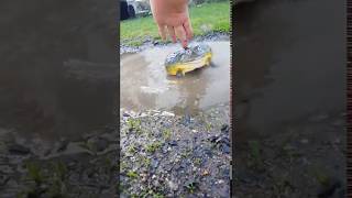 My 12 year old African Bull Frog was in a cranky mood #shorts #AfricanBullFrog