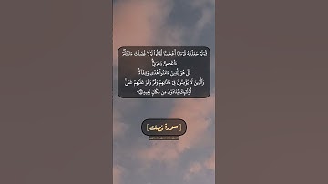 سورة فصلت الآية ٤٣ و ٤٤ بصوت الشيخ محمد صديق المنشاوي