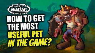 [NERFED] How To Get Coppers, The Most Useful Pet Ever Added To WoW! TWW | Coppers The Kobold Guide