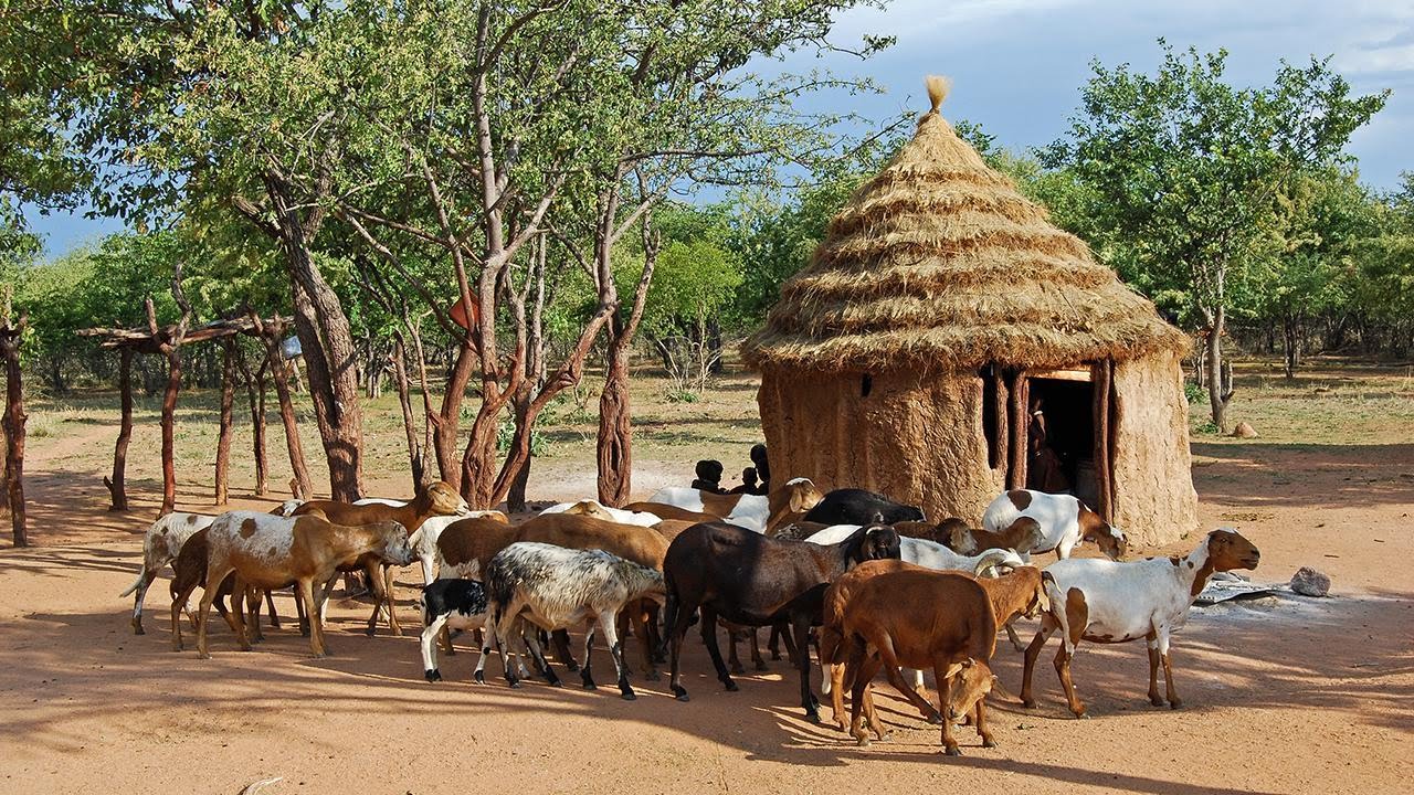 Agricultural Sector in Nigeria Needs Significant Investment, Says Local Investor
