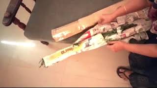 Unboxing Videos of Plants 004