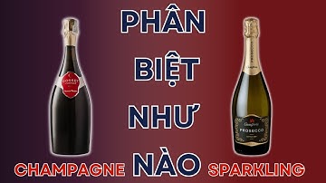 CHAMPAGNE Và SPARKLING WINE Phân Biệt Như Thế Nào? | Avino Wines