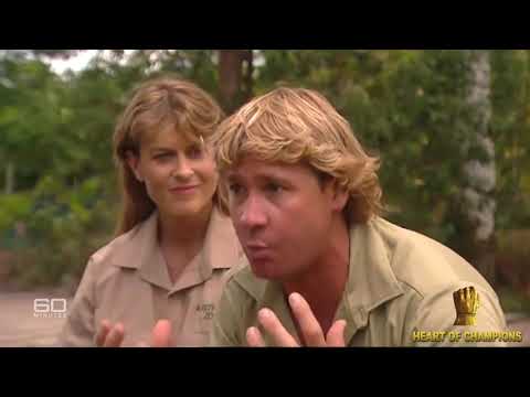 Video: Oficiālais: tikai Steve Irwin var mūs glābt