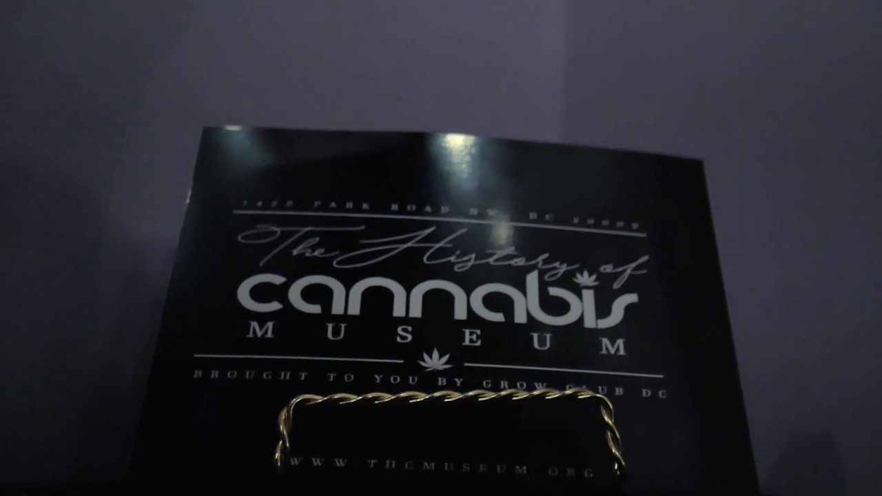 The Cannabis Museum