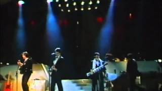 Steve Miller - Fly Like An Eagle Live Rockpalast-Loreley 1983