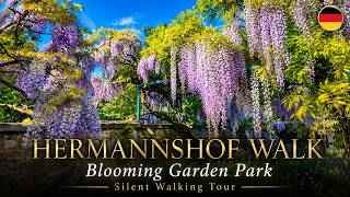 Luxury Garden Design & Wisteria Tunnel: Hermannshof Germany 4K ASMR