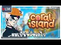 Live coral island   rayan chfixix vt