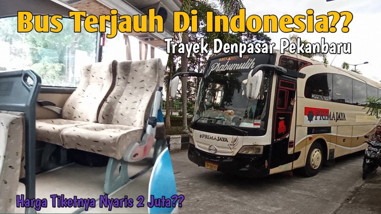 Bus Terjauh Di Indonesia, Trayeknya Dari Mataram ke Pekanbaru. Bus Prima Jaya Denpasar Pekanbaru