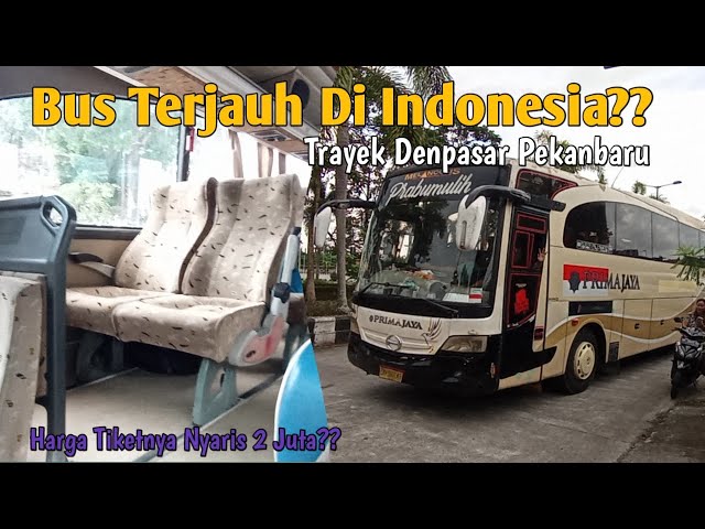 Bus Terjauh Di Indonesia, Trayeknya Dari Mataram ke Pekanbaru. Bus Prima Jaya Denpasar Pekanbaru class=