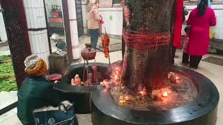 Sting Operation-What I Discovered in Baddi's Agricultural Heart | Industrial Revolution Untold Story