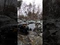 Miller Motorsport rock crawling RC: complicado...1/2.,#hobbywing #rc4wd #proline