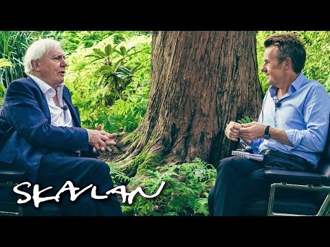 Video: Sir David Attenborough Kunngjør Ambisiøs Jordskuddpris