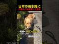 日本の用水路に外国人が大歓喜した理由