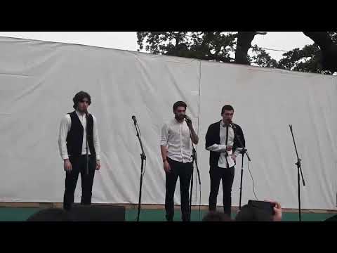 შენ სისხლო ჩემო👌❤ მარჯანიშვილელები 💓👏