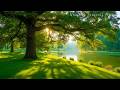 Restore Your Nervous System🌿Relaxing Music for Anxiety Relief & Stop Overthinking
