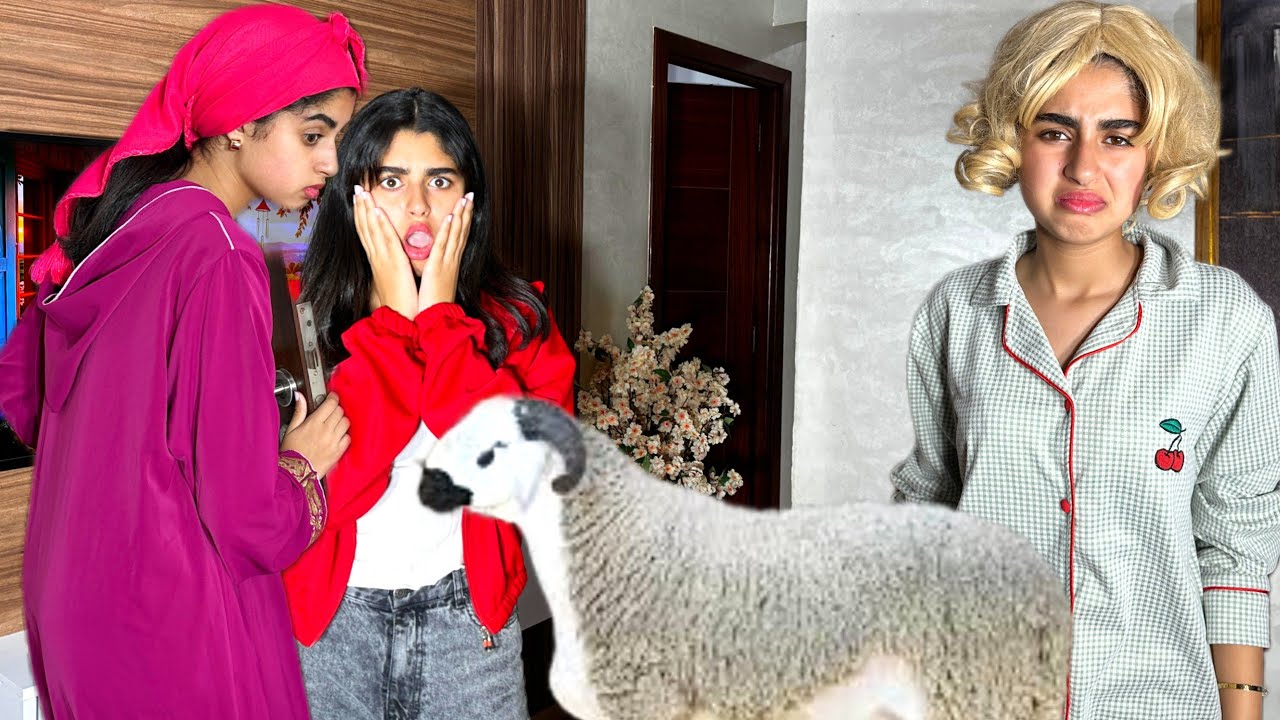 (جارة السوء) غارت من جارتها حيث شرات كبش العيد ‼️
