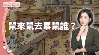 【學姐當媽加班中】EP.8 鼠來鼠去累鼠誰？台北老鼠變多了嗎？