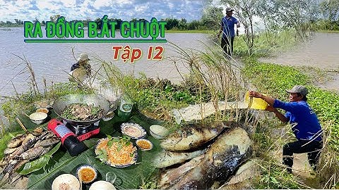 Mưu Sinh Mùa Nước Nổi 2025 - Tập 12 Chuột Đồng Xào Rau Răm " LAI RAI " hết sảy   | Út Phiêu Lưu