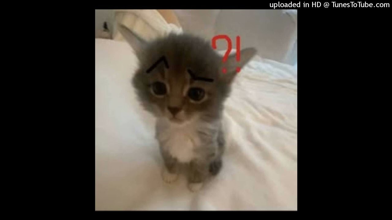 free rexv2 xasper xsty nettspend type beat "fever"