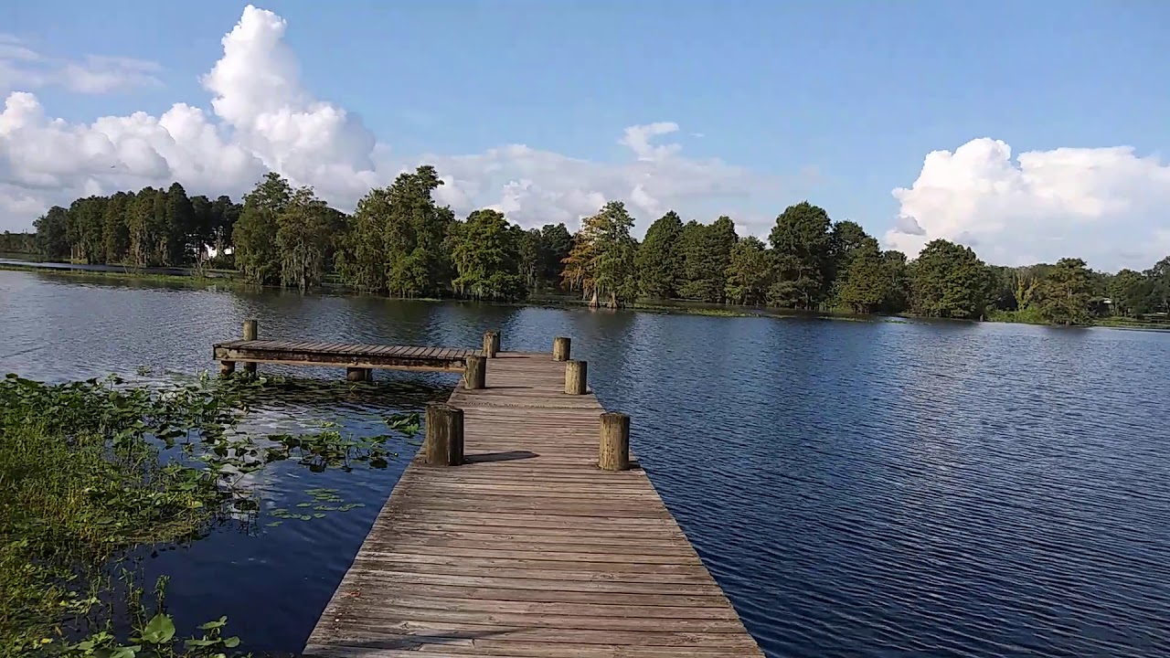 Another visit to Riverhills Park in Temple Terrace Florida YouTube