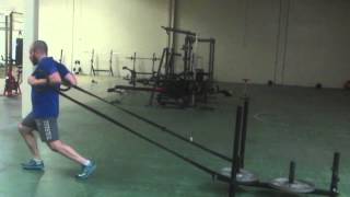 sled chest press
