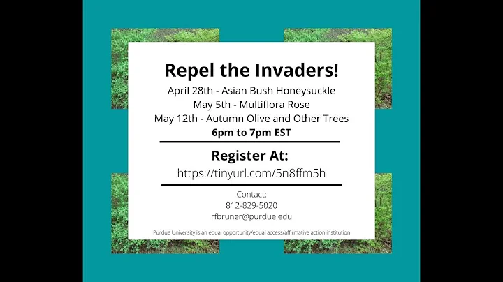 Repel the Invaders: Asian Bush Honeysuckle