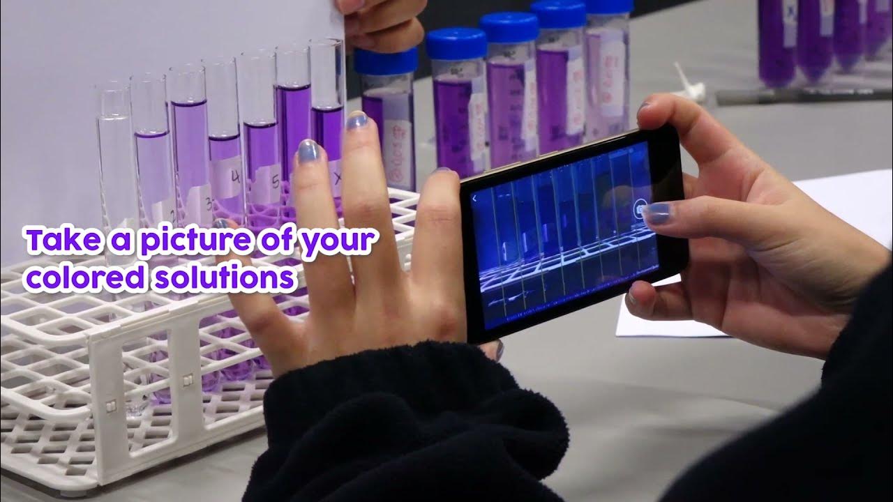 Лаб ю лаборатория. Лаб4u. lab4u.
